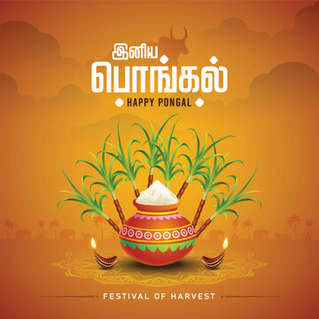 new illustration of Happy Pongal Holiday Harvest Festival of Tamil Nadu. vector background design