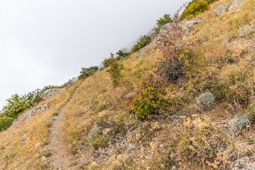Mysterious mountain landscape of the Valley of Ghosts on the western slope of Mount Demerdzhi in Crimea. Popular tourism and trekking destination