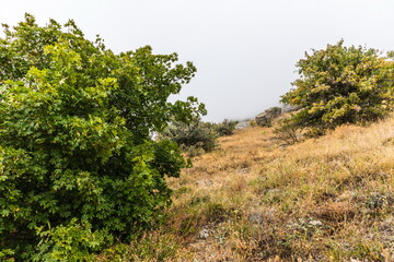 Mysterious mountain landscape of the Valley of Ghosts on the western slope of Mount Demerdzhi in Crimea. Popular tourism and trekking destination