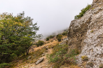 Mysterious mountain landscape of the Valley of Ghosts, a cluster of strangely shaped rocks on the western slope of Mount Demerdzhi in Crimea