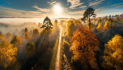 Paysage d'automne. Vue d'un drone au dessus d'un sentier forestier bordé d'arbres ,noyé dans la brume traversée par les rayons du soleil - obrazy, fototapety, plakaty