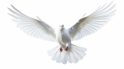 Obraz premium Free flying white pigeon on white background. Made with generative ai