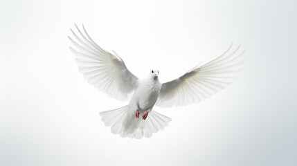 Free flying white pigeon on white background. Made with generative ai