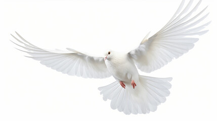 Obraz premium Free flying white pigeon on white background. Made with generative ai