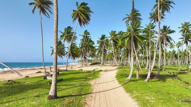 Thai island with coconut trees on a sunny sea beach. Summer holiday in the Indian Ocean. Landscape of a tropical beach with white sand. Exotic beach and blue sea. Travel to a tropical paradise.