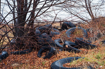 Pile of used old tyres among trees. Recycle pollution environment garbage problem