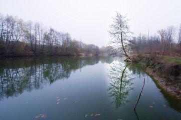 Beautiful foggy autumn landscape with lonely tree and it`s reflection in forest lake water