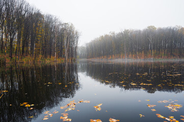 Beautiful foggy autumn landscape with forest on the bank and it`s reflection in lake water
