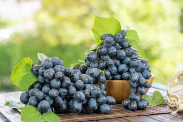 Black grapes with leaves in wooden basket on wooden table in garden, Black or Purple grape with leaves in blur background. - obrazy, fototapety, plakaty