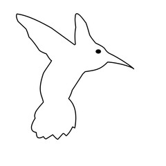 Hummingbird Outline 