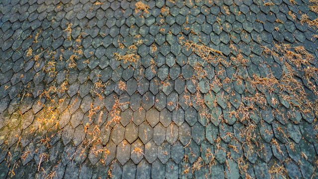 Texture or pattern of black classic roof