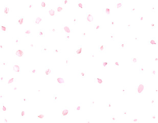 Pink cherry petals.