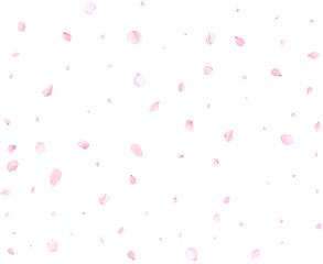 Pink cherry petals.