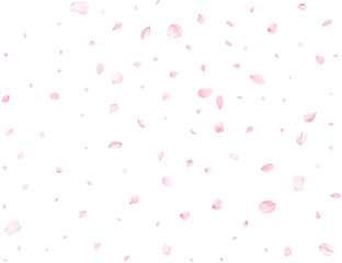 Pink cherry petals.