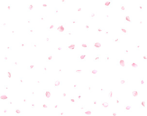 Pink cherry petals.