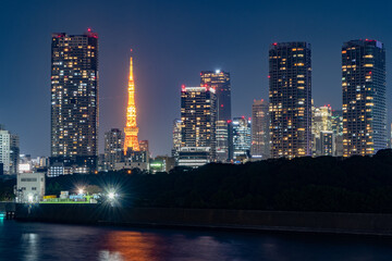 Obraz premium Enchanting Tokyo Nights: A Captivating Symphony of Lights and Shadows in the Urban Night Scape.