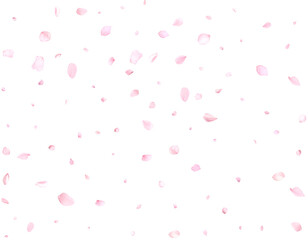 Pink cherry petals.