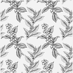 pattern seamless of flora coffee plant for fabric textile, backdrop, art sketch, background wallpaper, cafe decorative, illustration cover, vintage menu, arabica antique