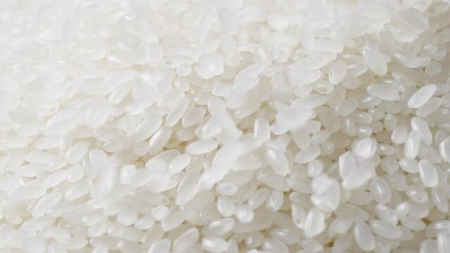 Raw grain of rice before cooking.  Rice Falling.