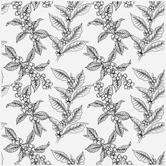 Fototapeta premium pattern seamless of flora coffee plant for fabric textile, backdrop, art sketch, background wallpaper, cafe decorative, illustration cover, vintage menu, arabica antique