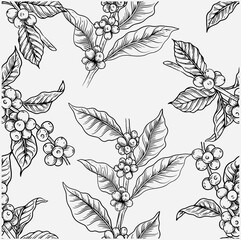 pattern seamless of flora coffee plant for fabric textile, backdrop, art sketch, background wallpaper, cafe decorative, illustration cover, vintage menu, arabica antique