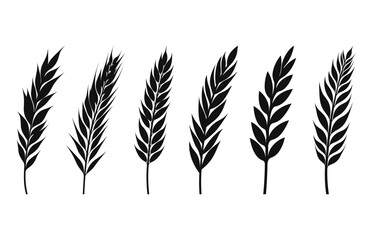 Wheat ears silhouette Vector illustration, Wheat grain spikes set