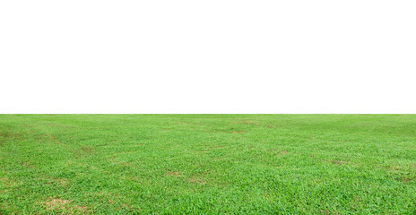 Green grass landscape isolated on white background