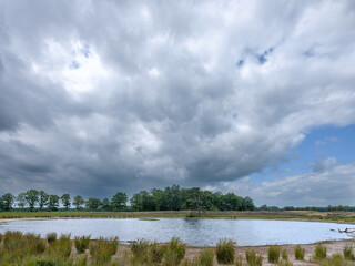 Natuurgebied Mandefjild , Friesland