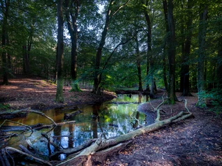 Fototapete Hierdensebeek, Gelderland province, The Netherlands © Holland-PhotostockNL