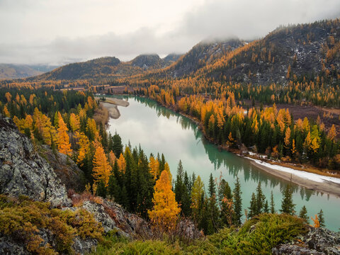 Wonderful alpine landscape with mountain river Argut in valley with forest in autumn colors on background of foggy mountains silhouettes under low clouds. Beautiful mountain valley in autumn.