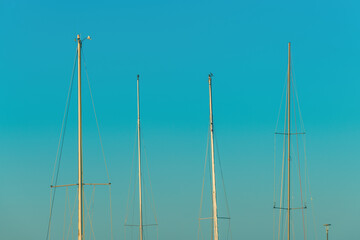 Boat masts against blue sky