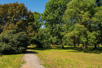 Fototapeta premium Summer in the Arboretum public park near the historic centre of Karlovac in central Croatia