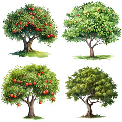 Set of apple trees watercolor illustration isolated on transparent background