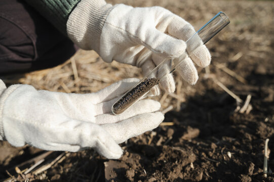 Hands of agronomist collecting soil in test tube for examination
