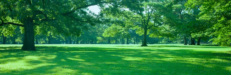 Rolgordijnen green garden banner © Ray Park Stock Photo