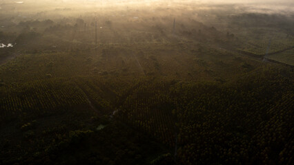 Aerial view of High voltage grid tower with wire cable at tree forest with fog in early morning....