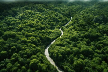 Aerial view of long road and forest.
