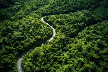 Fototapeta na wymiar Aerial view of long road and forest. 