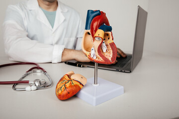 Heart diseases and healthcare concept. Anatomical model of human heart on a cardiologist's desk close-up