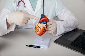 Doctor cardiologist holding model of human heart. Heart diseases and healthcare concept