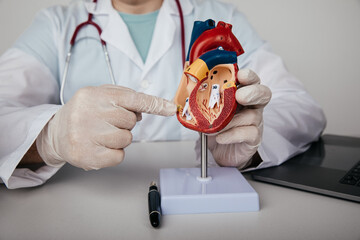 Heart diseases and treatment concept. Doctor cardiologist showing anatomical model of human heart in his office