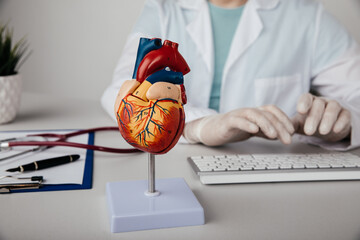 Anatomical model of human heart on a cardiologist's table close-up