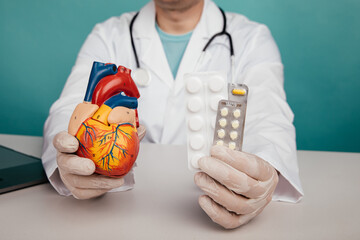 Doctor holds an anatomical model of heart and pills in his hands. Heart disease prevention