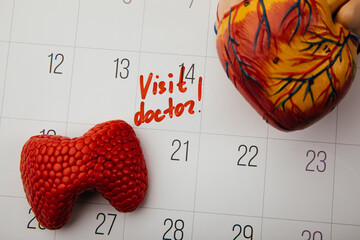 Doctor appointment reminder note on calendar with model of thyroid and human heart