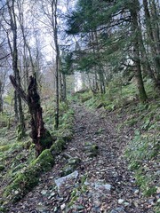 Hiking Trial Breistein Mount Lia, Erviknipa and Hetelviksåta Bergen Norway