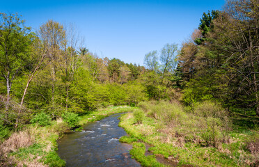 Fototapeta na wymiar A Stream at Allegany State Park, New York, USA