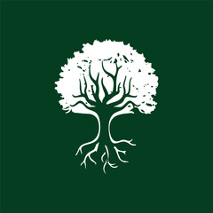 tree vectors. Forest and nature concept. Collection of different tree symbols. Education and training poster design.