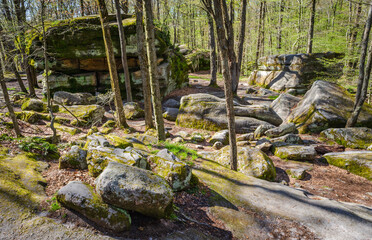 Thunder Rocks at Allegany State Park in New York State