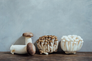 Various edible Asian mushrooms. Enoki, shimeji, shiitake, tea tree, royal oyster mushrooms. Set of...