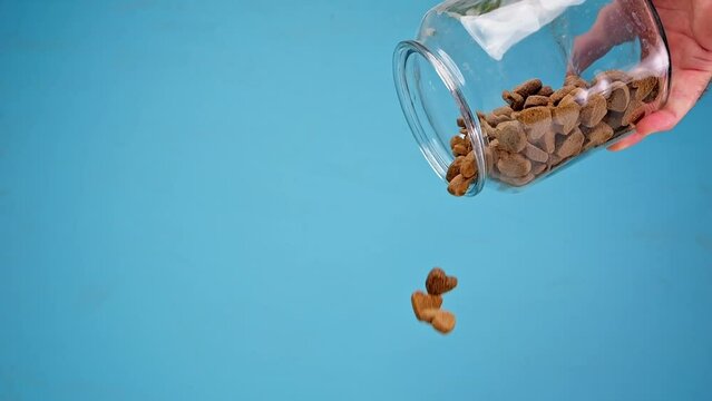 Dog treats shaped as hearts drop from a clear jar onto a plain blue background. Celebrating canine affection.